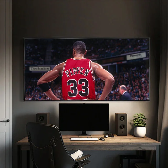 Scottie Pippen wall art