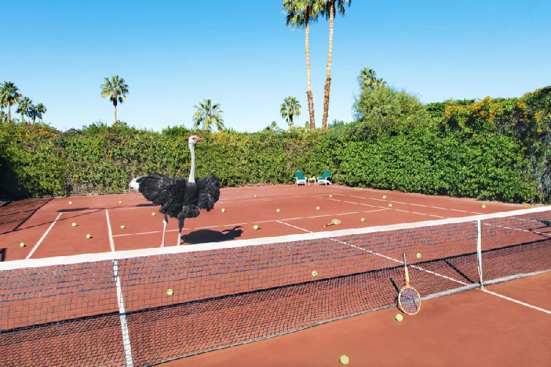 Tennis Lesson