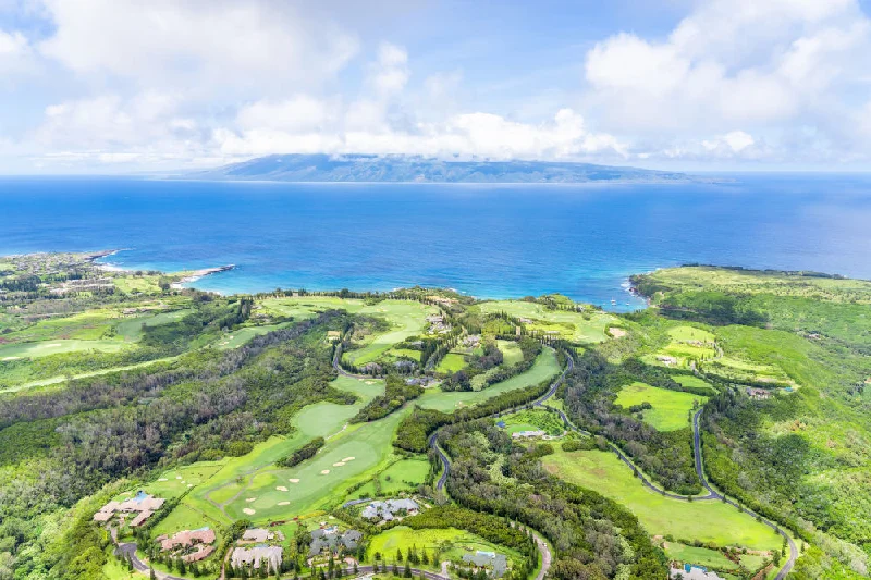 Kapalua Golf Course Vista, Maui