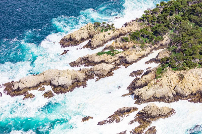 Point Lobos